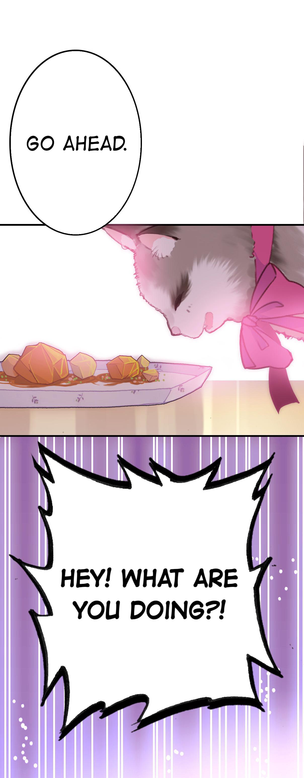 With Cats Only Episode 3 第33页