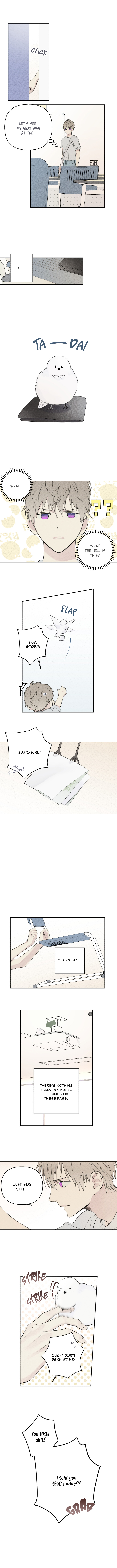 Angel Buddy Ch. 2 第4页