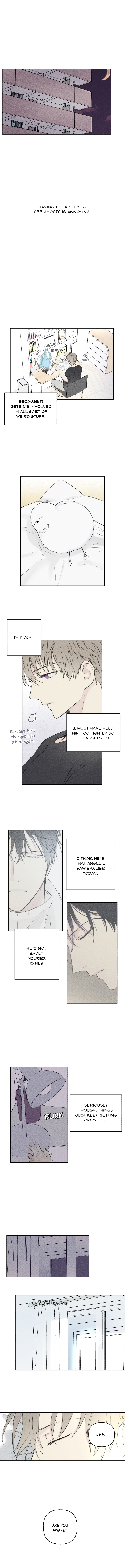 Angel Buddy Ch. 2 第6页