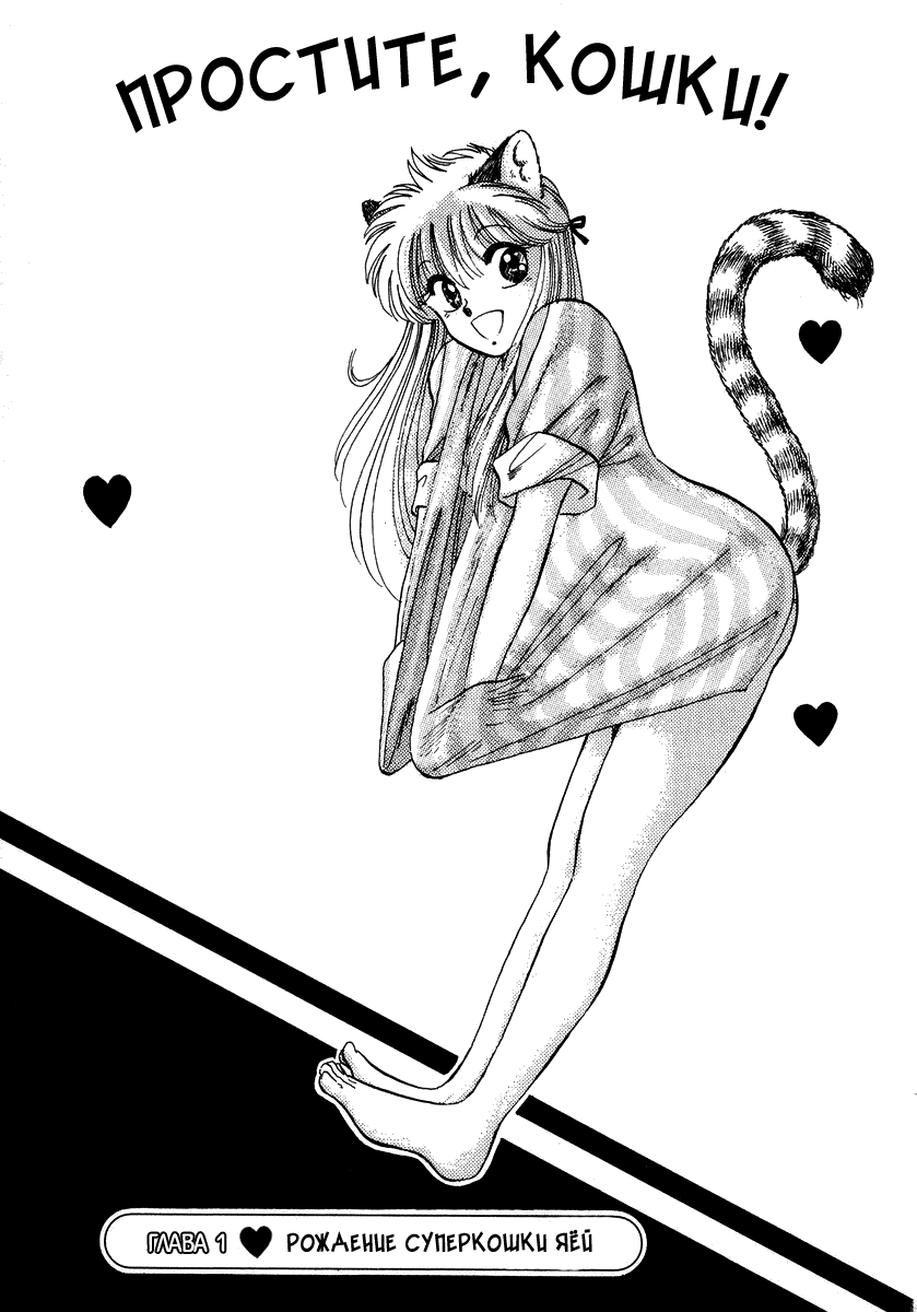 Sorry, I'm a Cat! 第4页