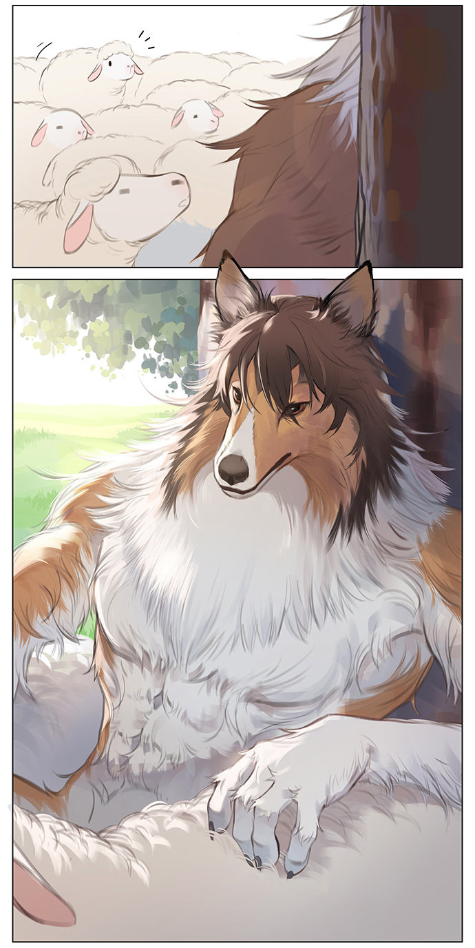 The New Shepherd Dog 第4页