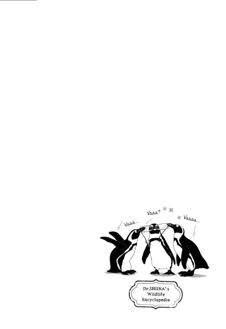 Dr. Shiina's Wildlife Encyclopedia Shiina's Choice 第40页