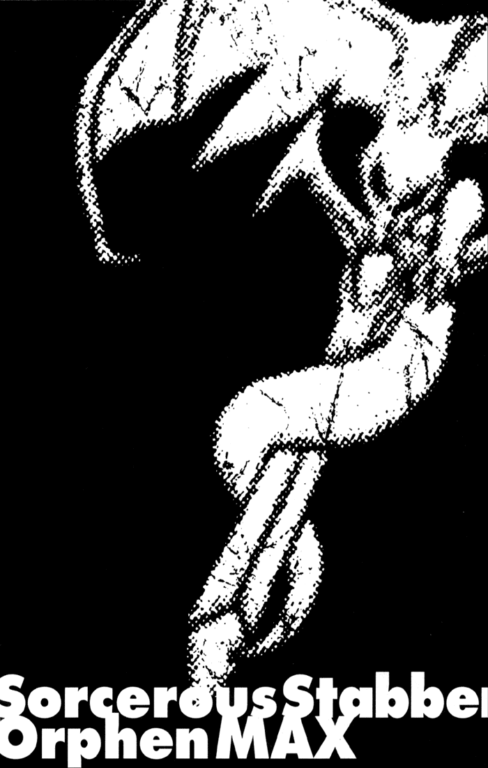 Majutsushi Orphen Hagure Tabi MAX Basilikock 第29页