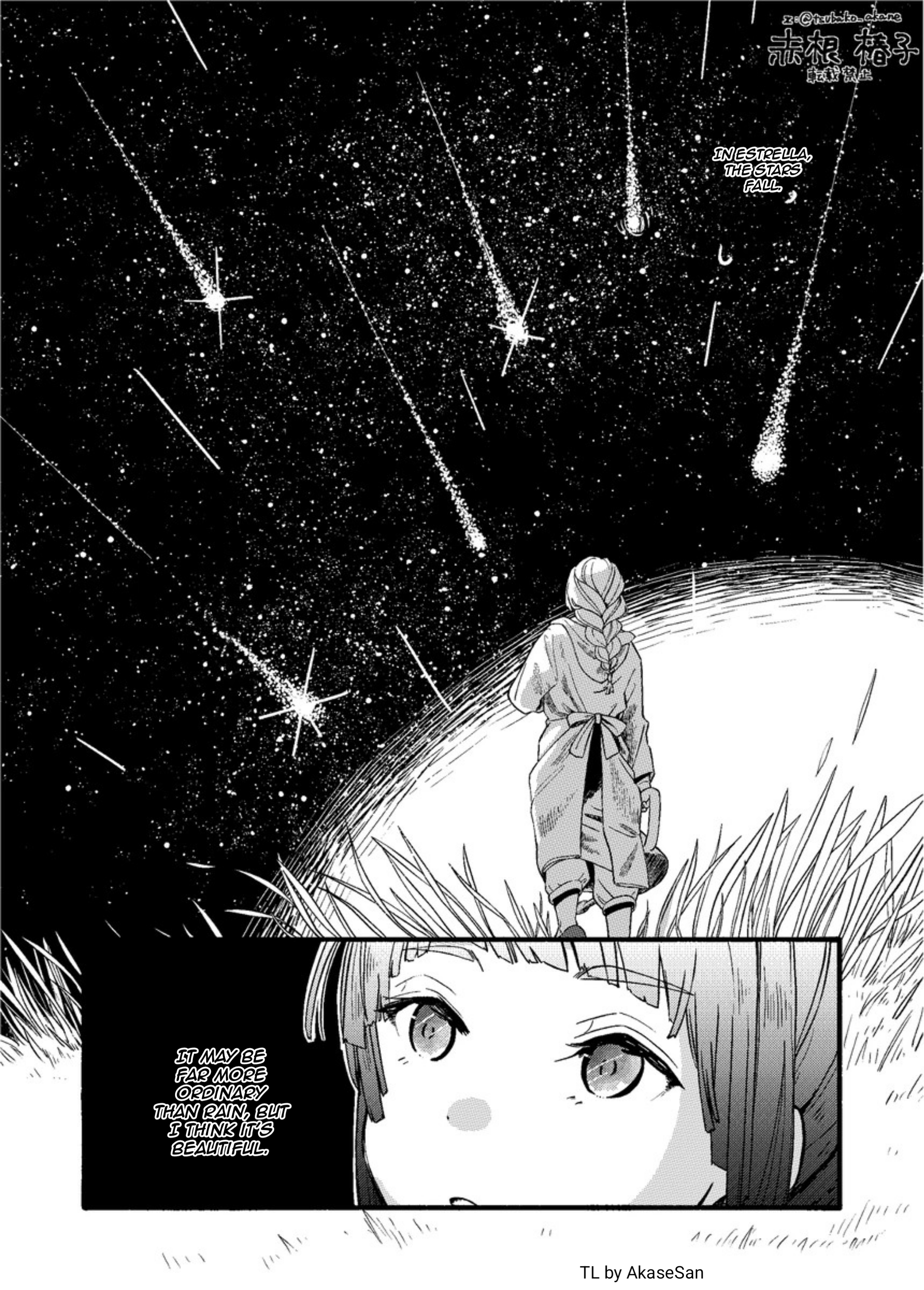 Star Chaser Estrella 第4页