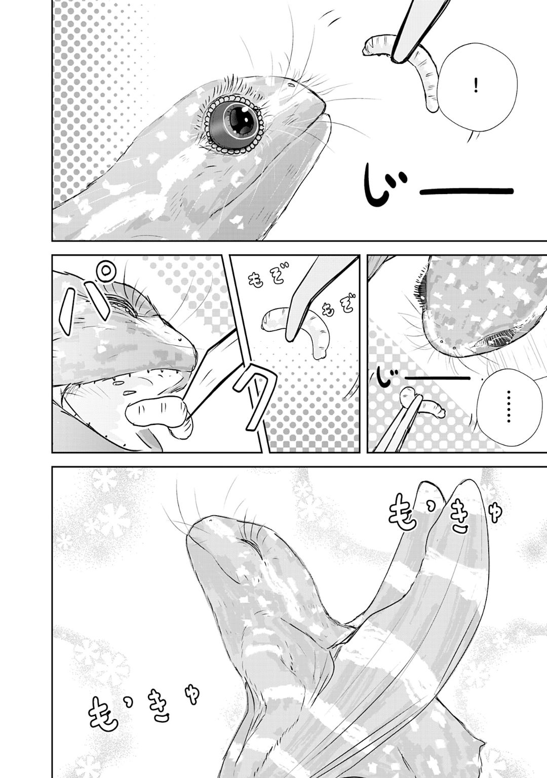 6-oku Nen no Hakubutsu Tabi Nasu the Anurognathus 第18页