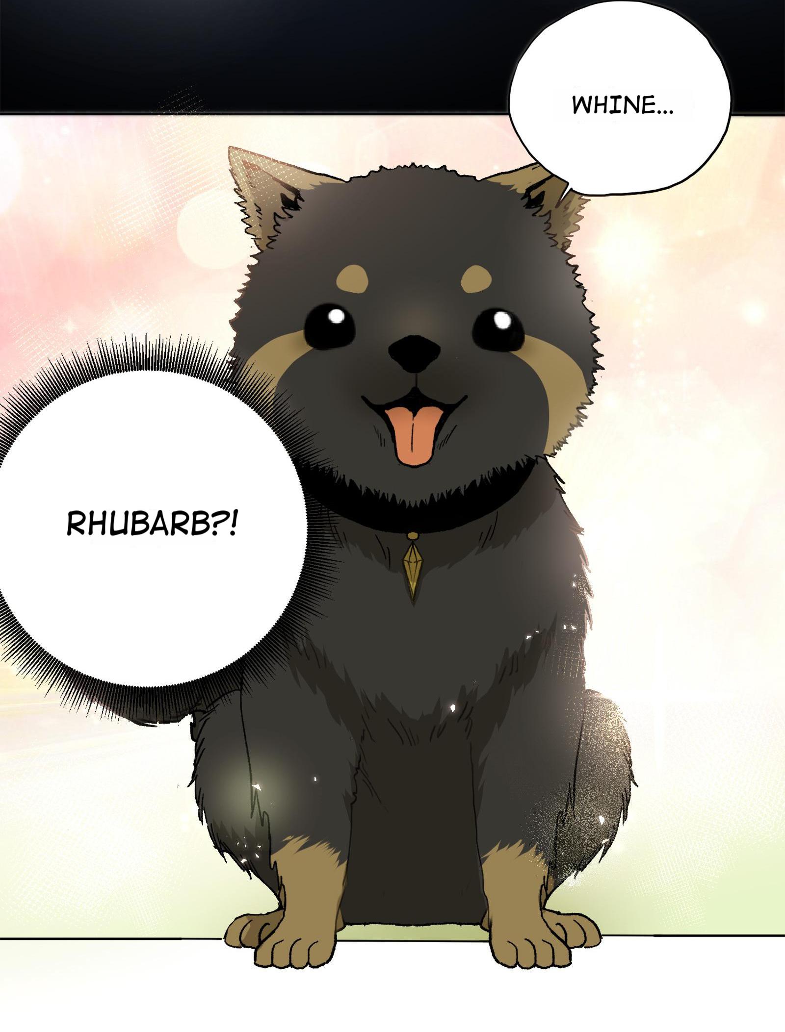 Gao Zhang and Rhubarb Reunion 第21页