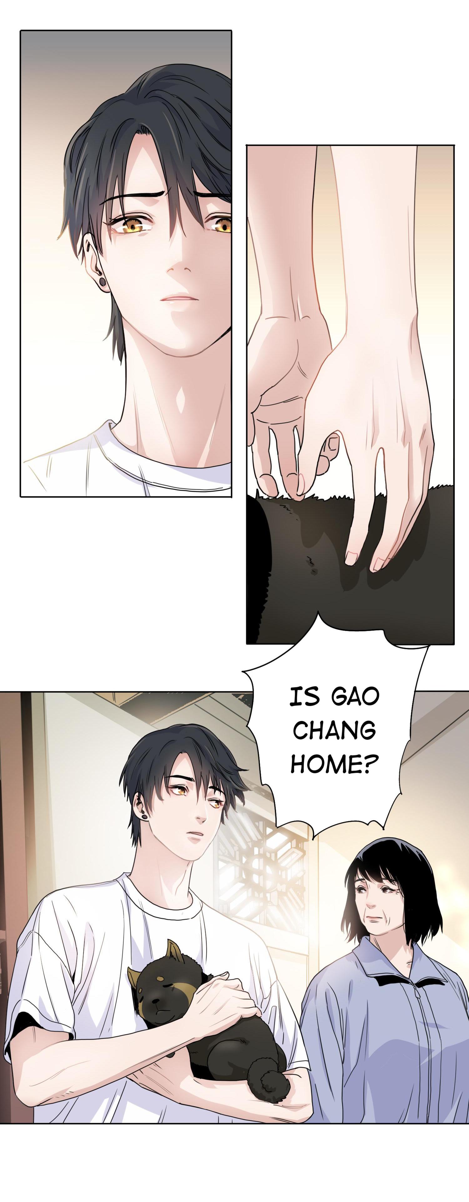 Gao Zhang and Rhubarb Reunion 第9页