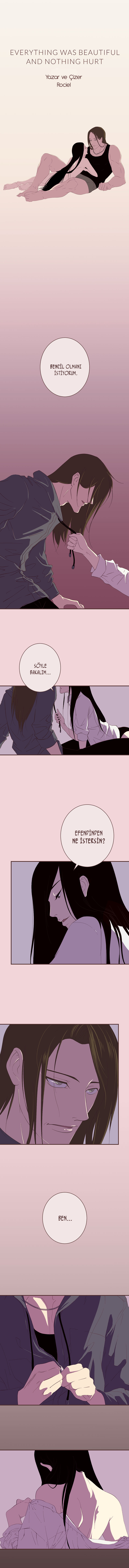 Everything was beautiful and nothing hurt 第1页