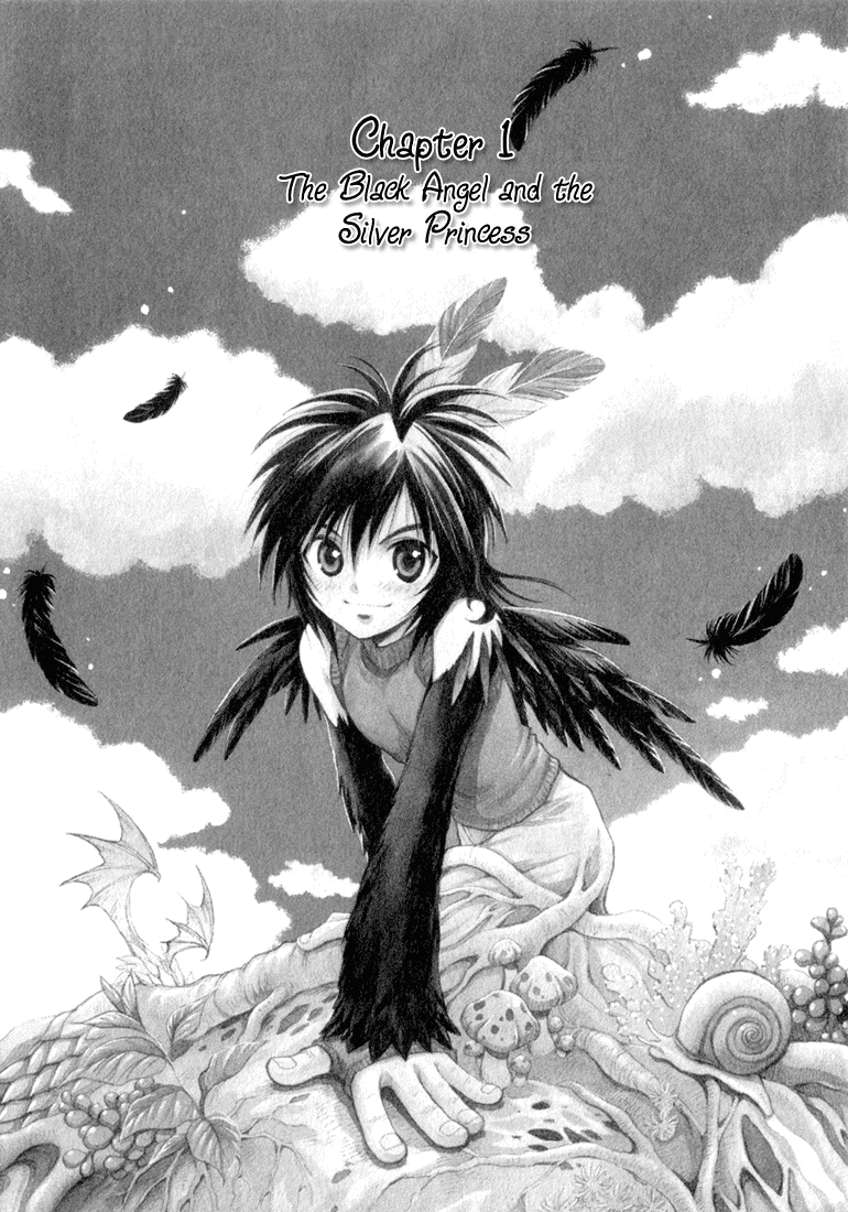 +Anima 第6页