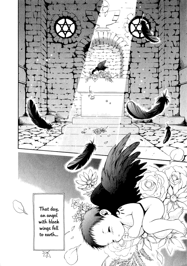 +Anima 第8页