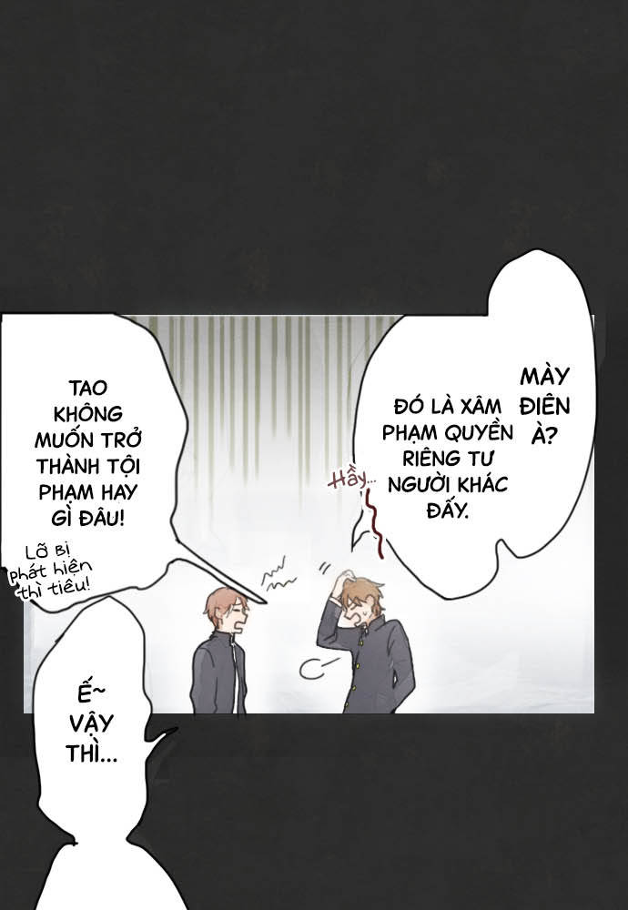 Star Flowers Điều mà tôi nhìn thấy 第11页