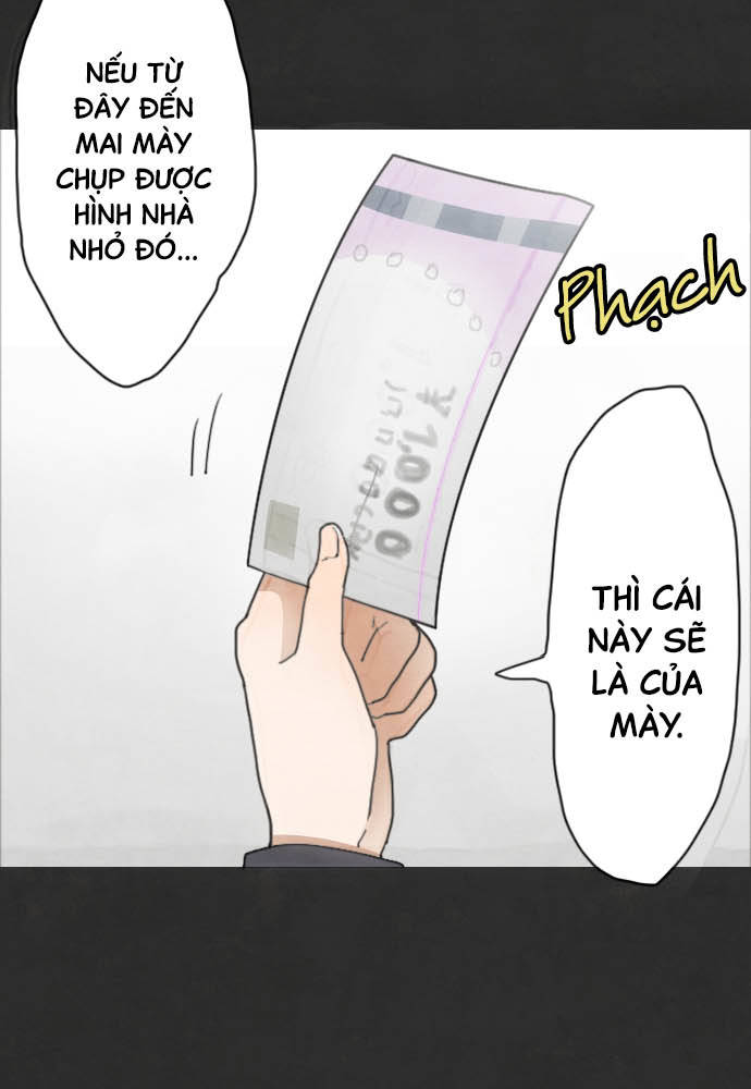Star Flowers Điều mà tôi nhìn thấy 第12页