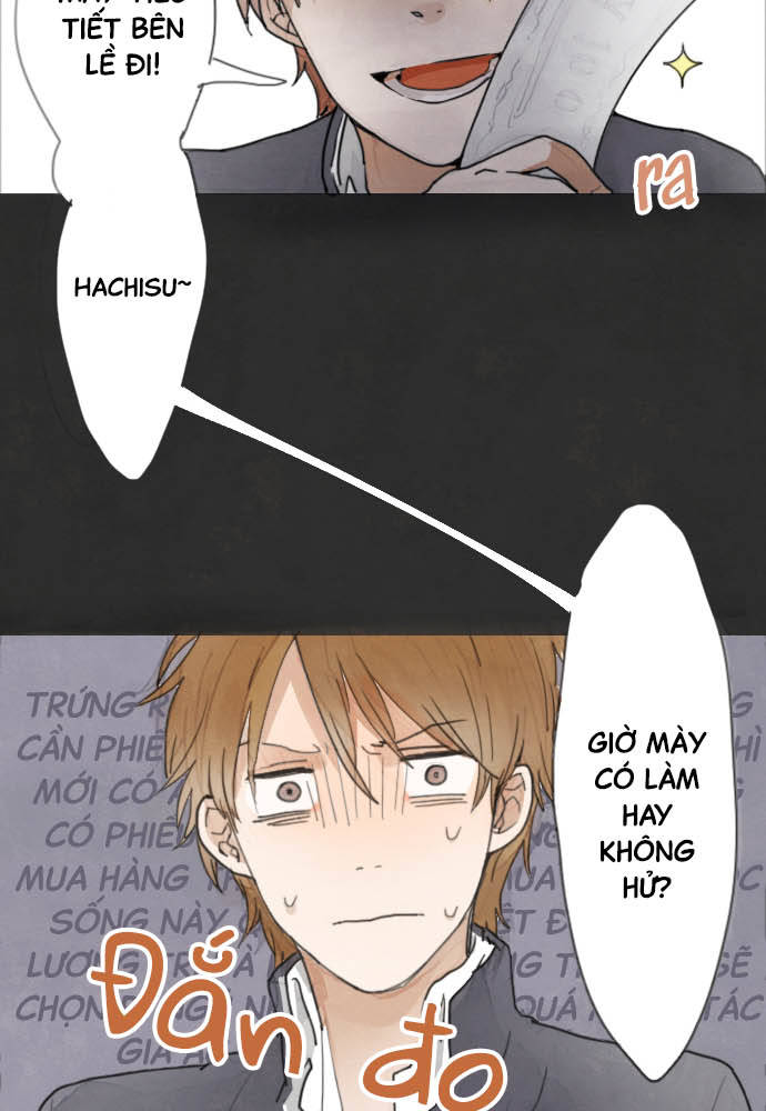 Star Flowers Điều mà tôi nhìn thấy 第19页