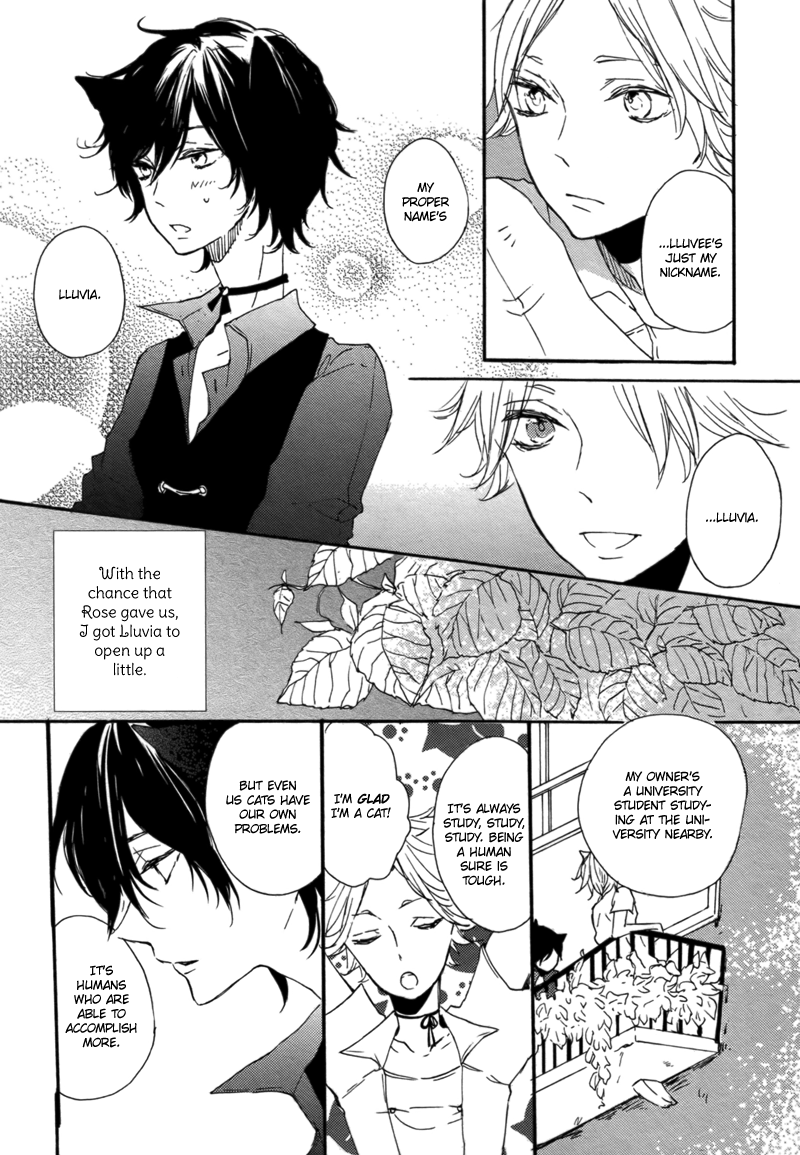 Koi ni Ochite Kudasai Koi ga Saita Hi 第9页