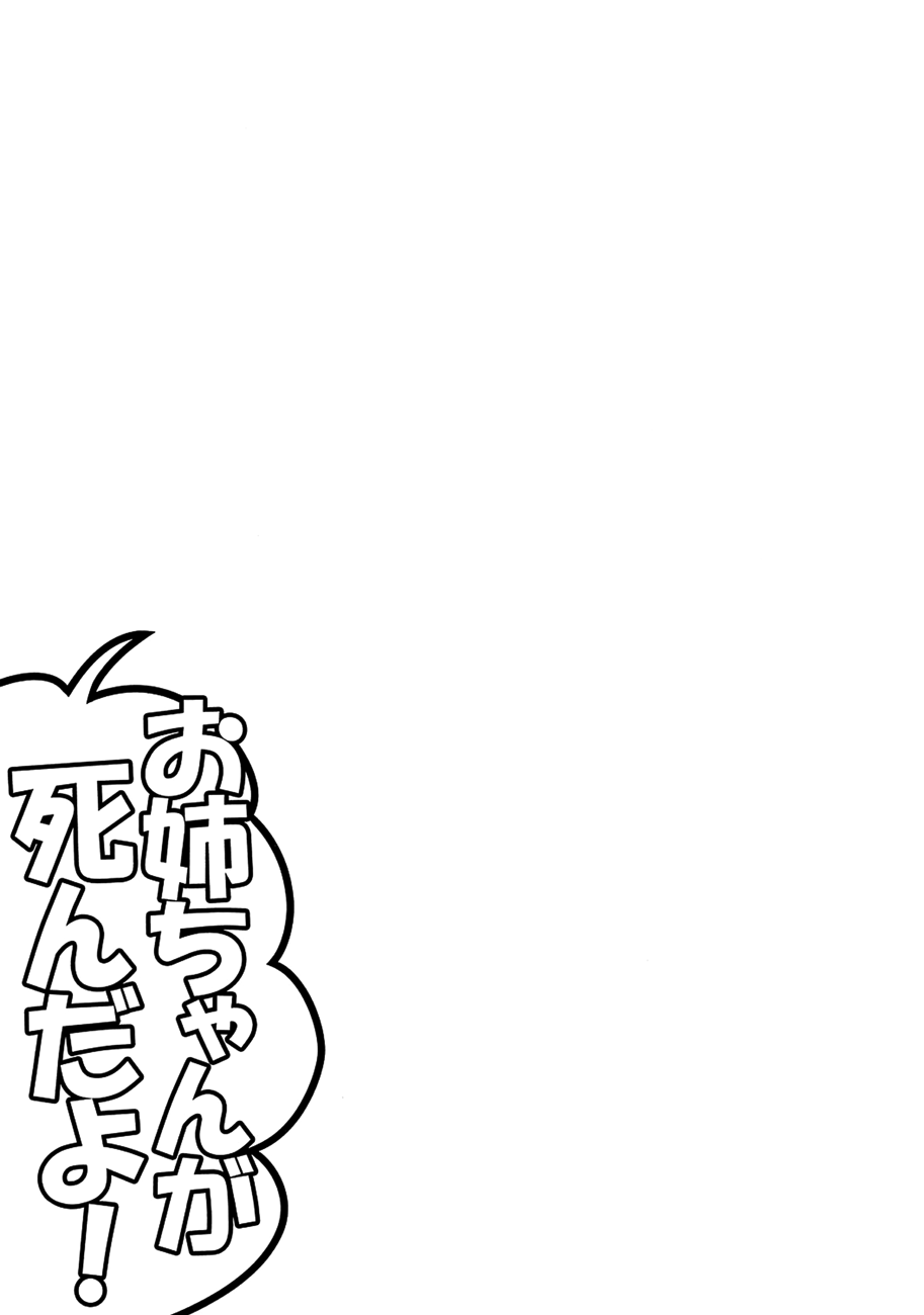 Touhou - Onee-chan Has Died (Doujinshi) Oneshot 第15页