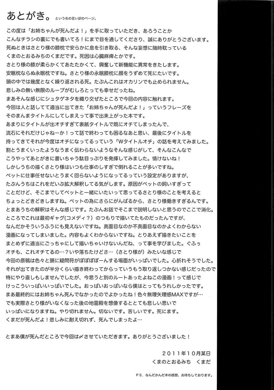 Touhou - Onee-chan Has Died (Doujinshi) Oneshot 第17页