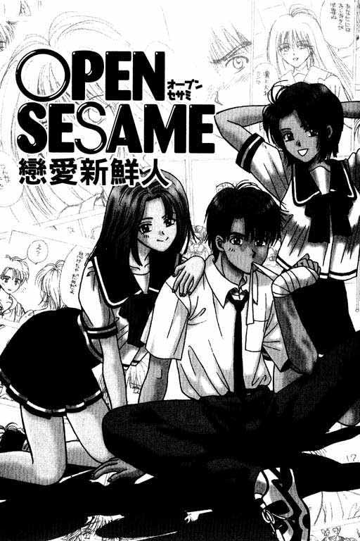 Open Sesame 第6页