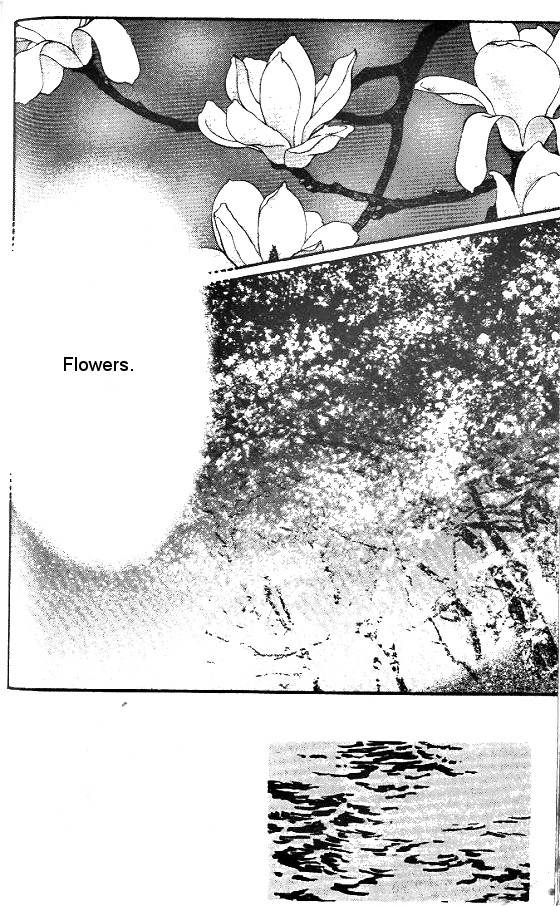 For the Sake of the Rose Long Time Ago, He Was... 第2页