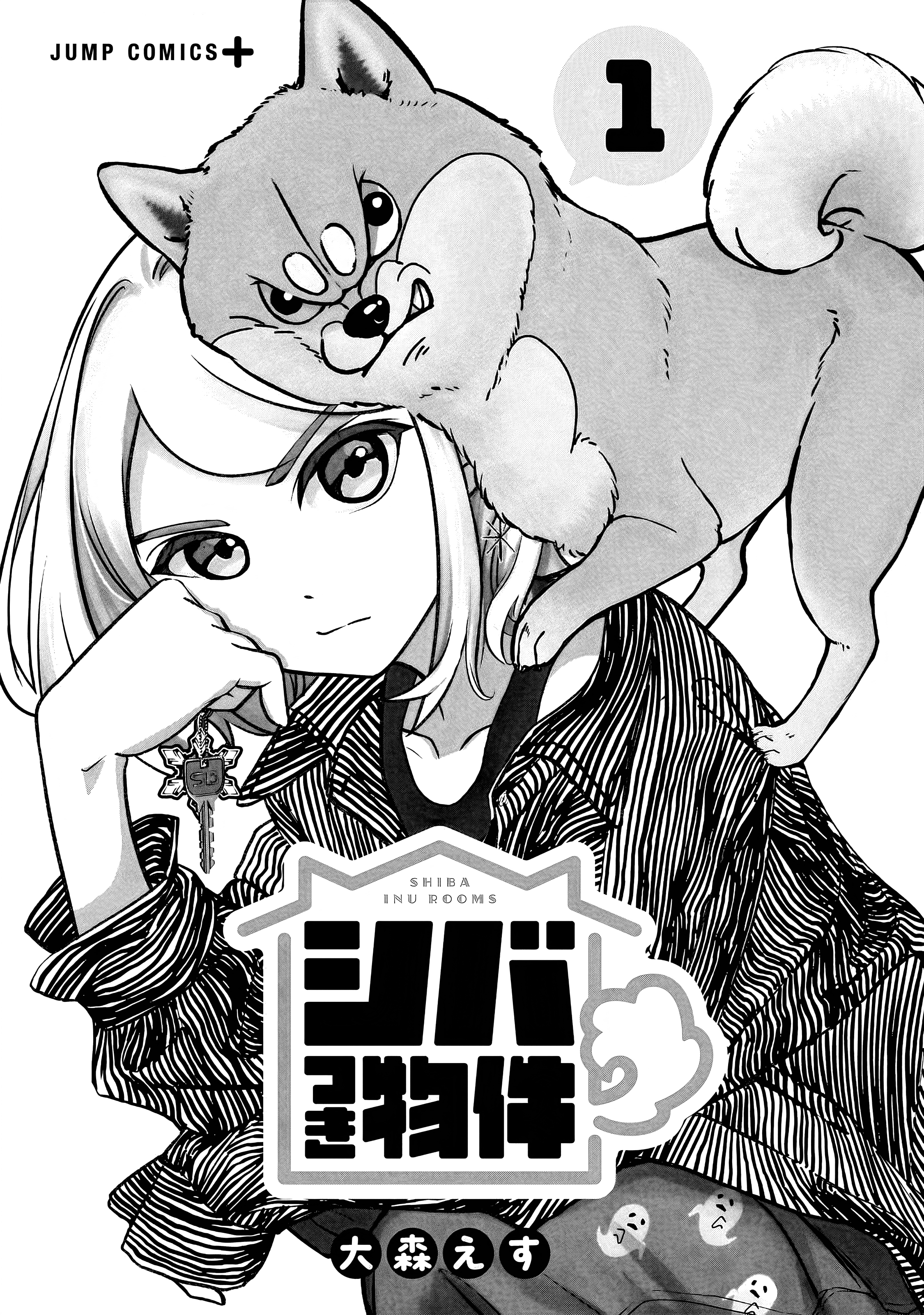 Shiba Inu Rooms 第3页