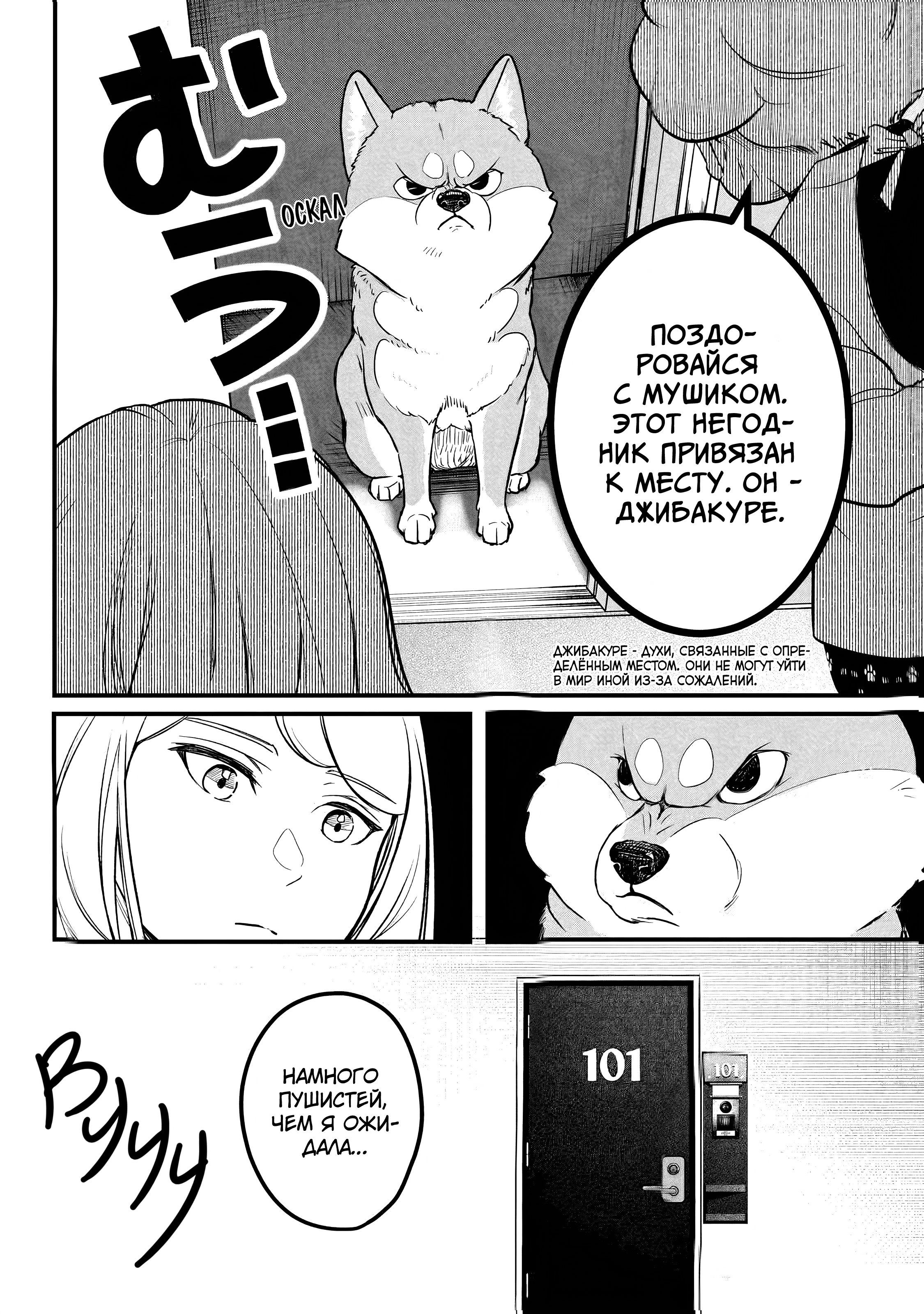 Shiba Inu Rooms 第7页