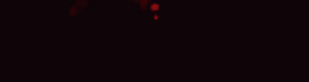 I’m a Human, but More So a Vampire Arrival 第44页