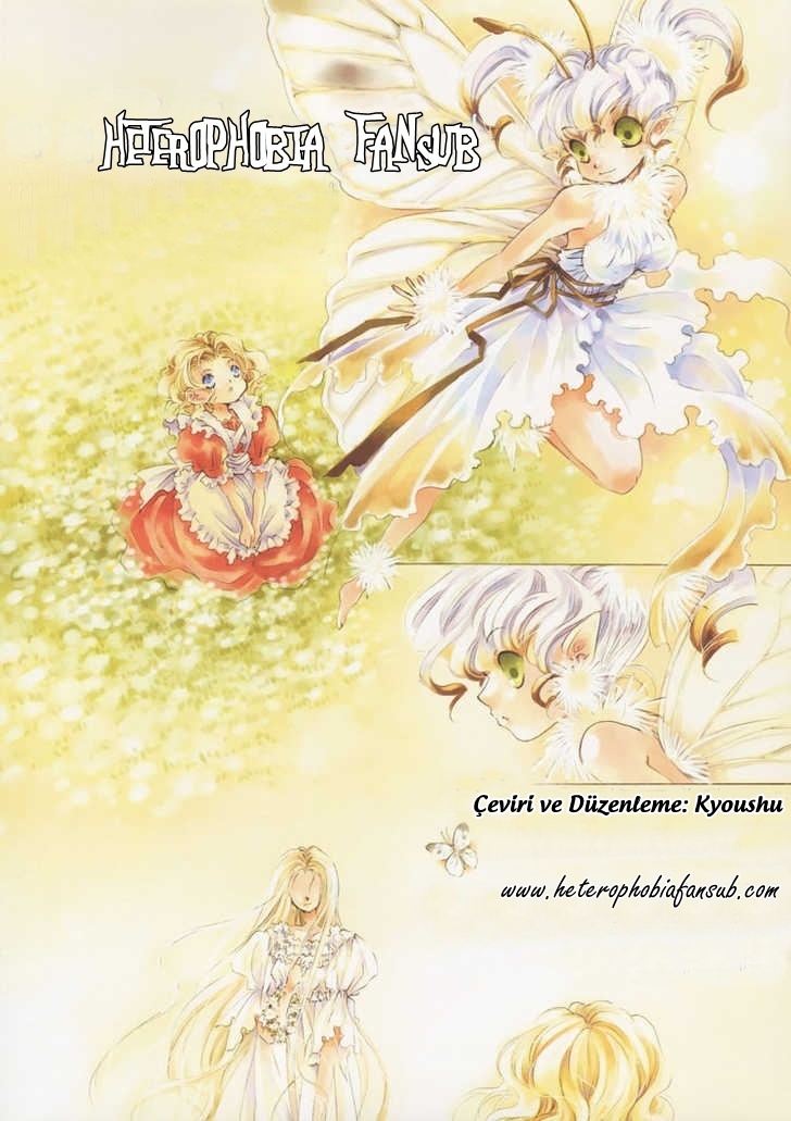 Like a Flower 第2页
