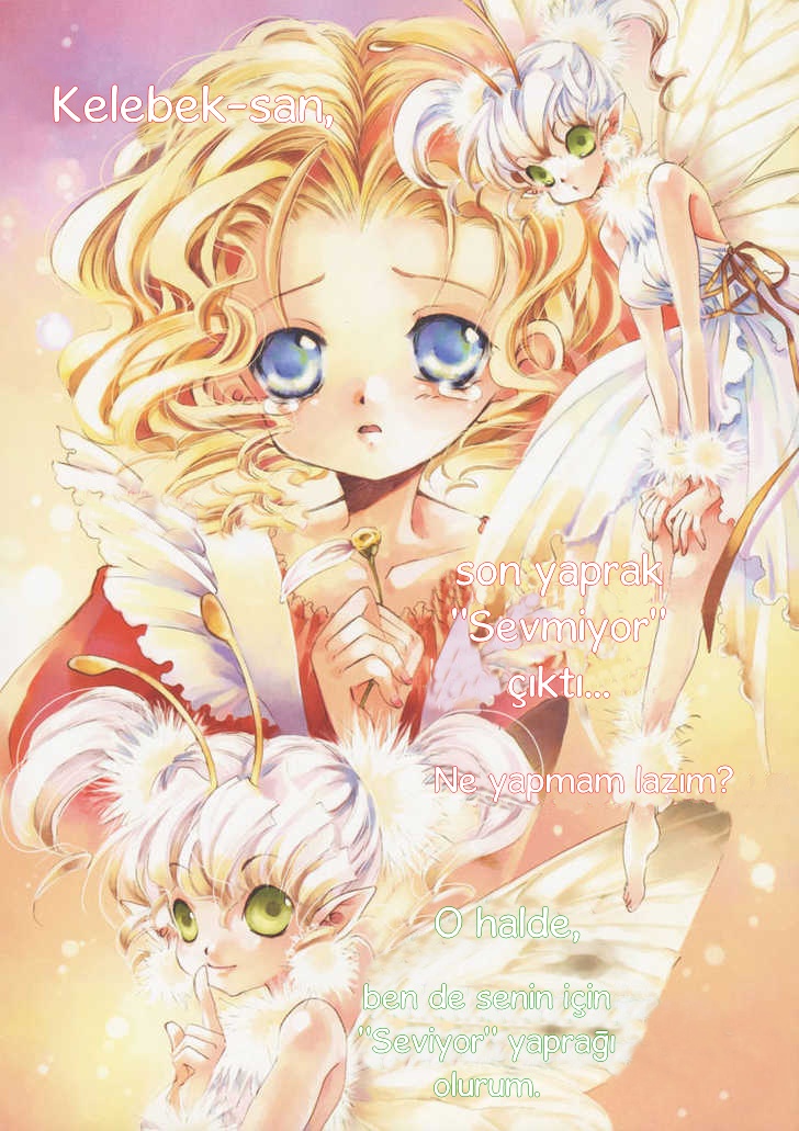 Like a Flower 第4页