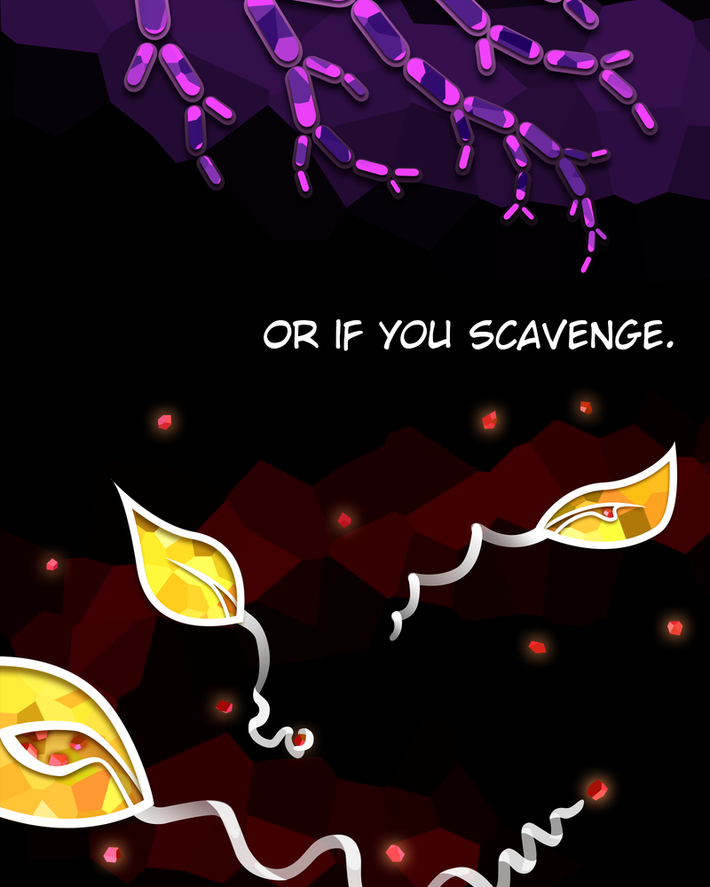 The Powerhouse of the Cell Mitosis (1/3) 第11页