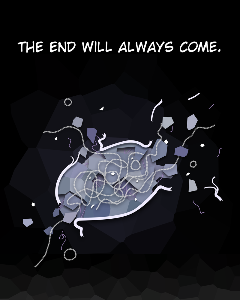 The Powerhouse of the Cell Mitosis (1/3) 第13页