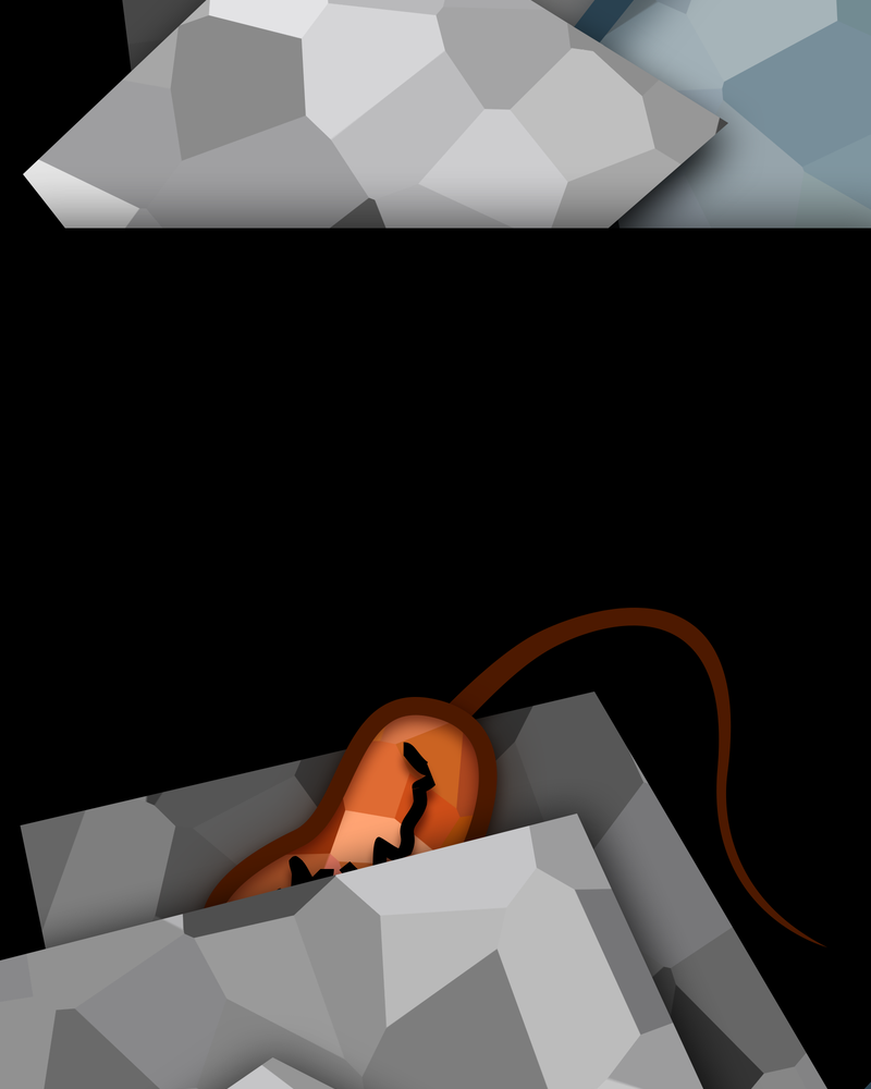 The Powerhouse of the Cell Mitosis (1/3) 第33页