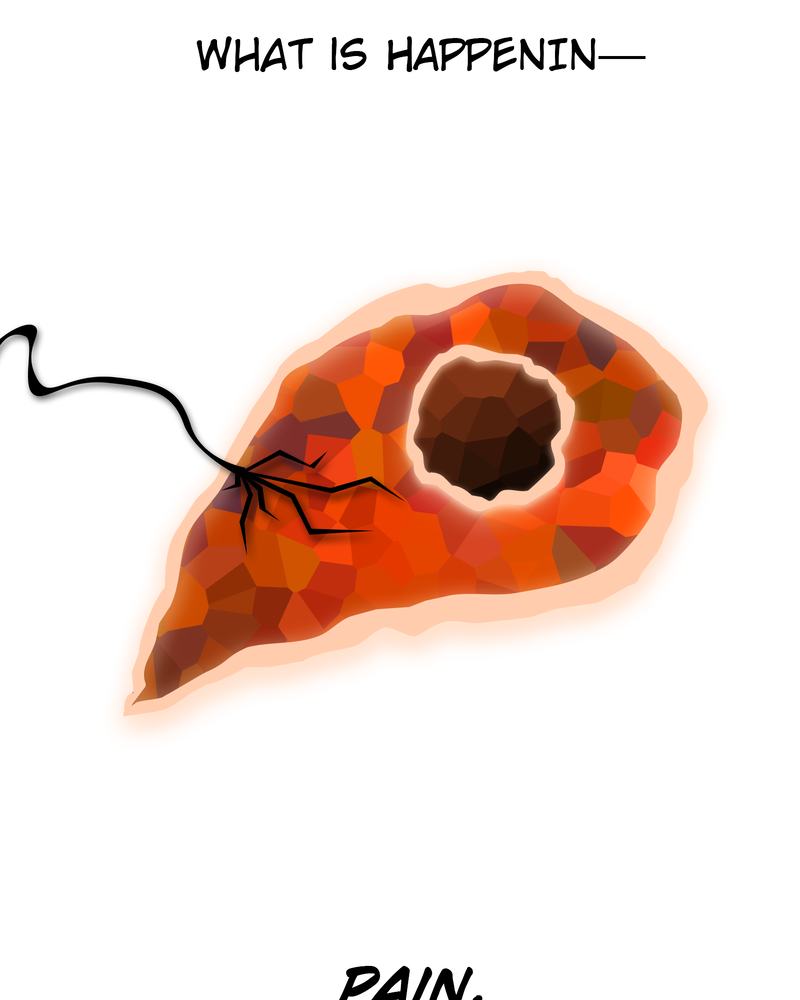 The Powerhouse of the Cell Mitosis (1/3) 第37页