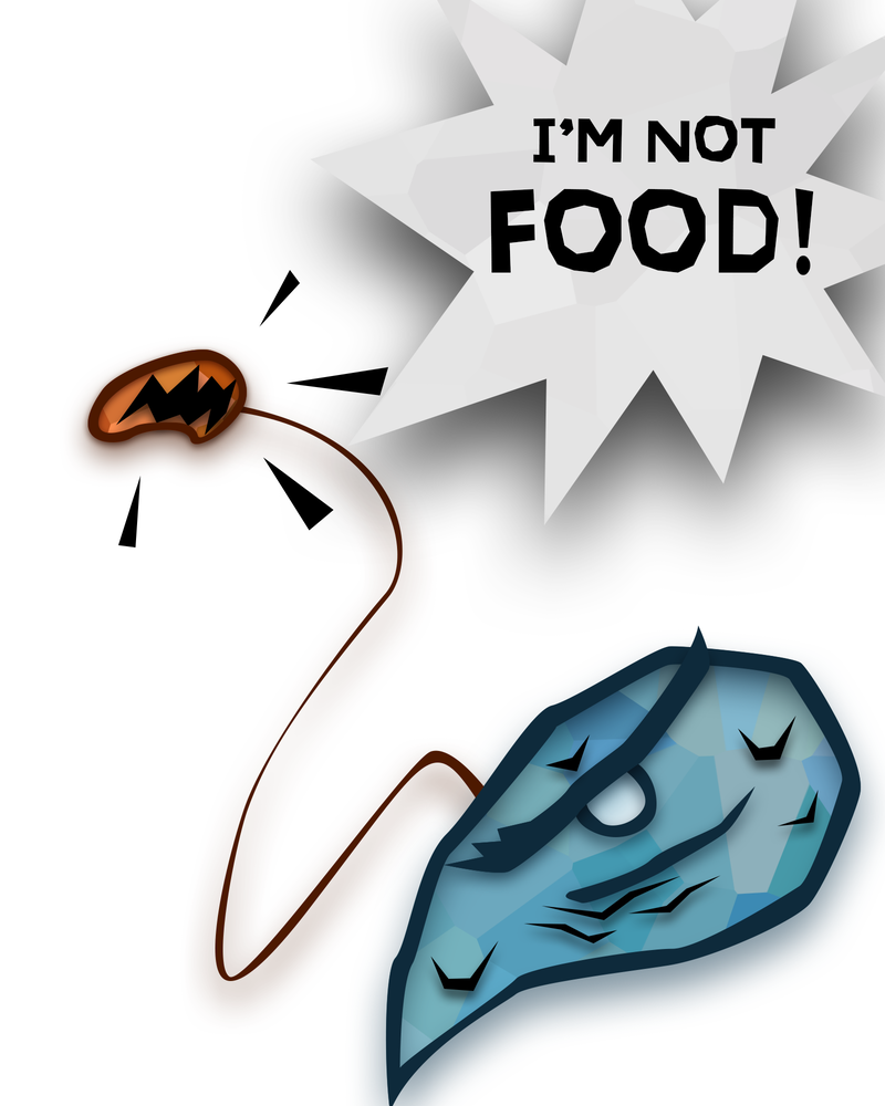 The Powerhouse of the Cell Mitosis (1/3) 第43页