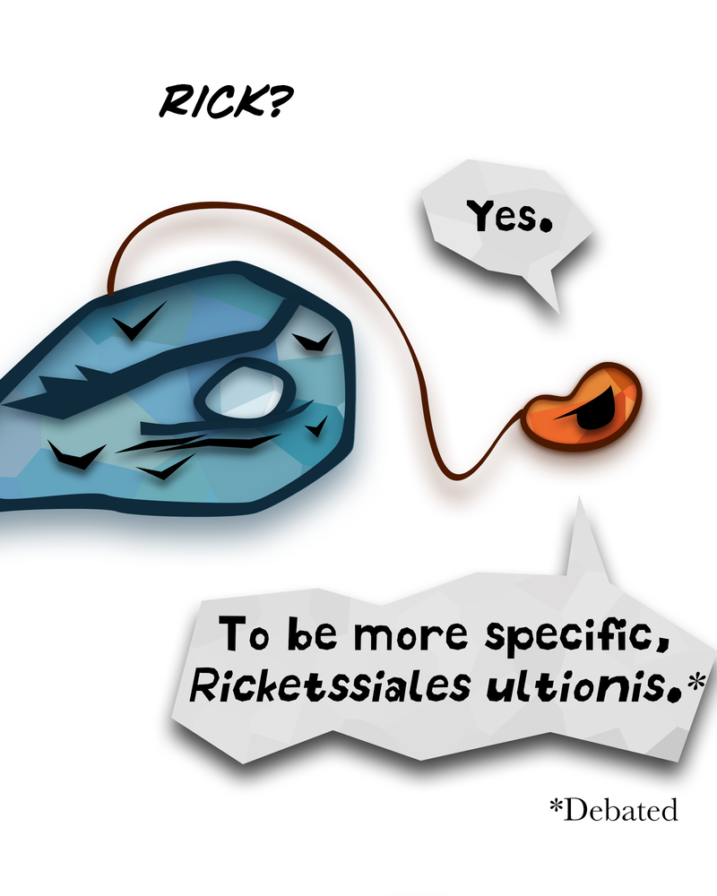 The Powerhouse of the Cell Mitosis (1/3) 第45页