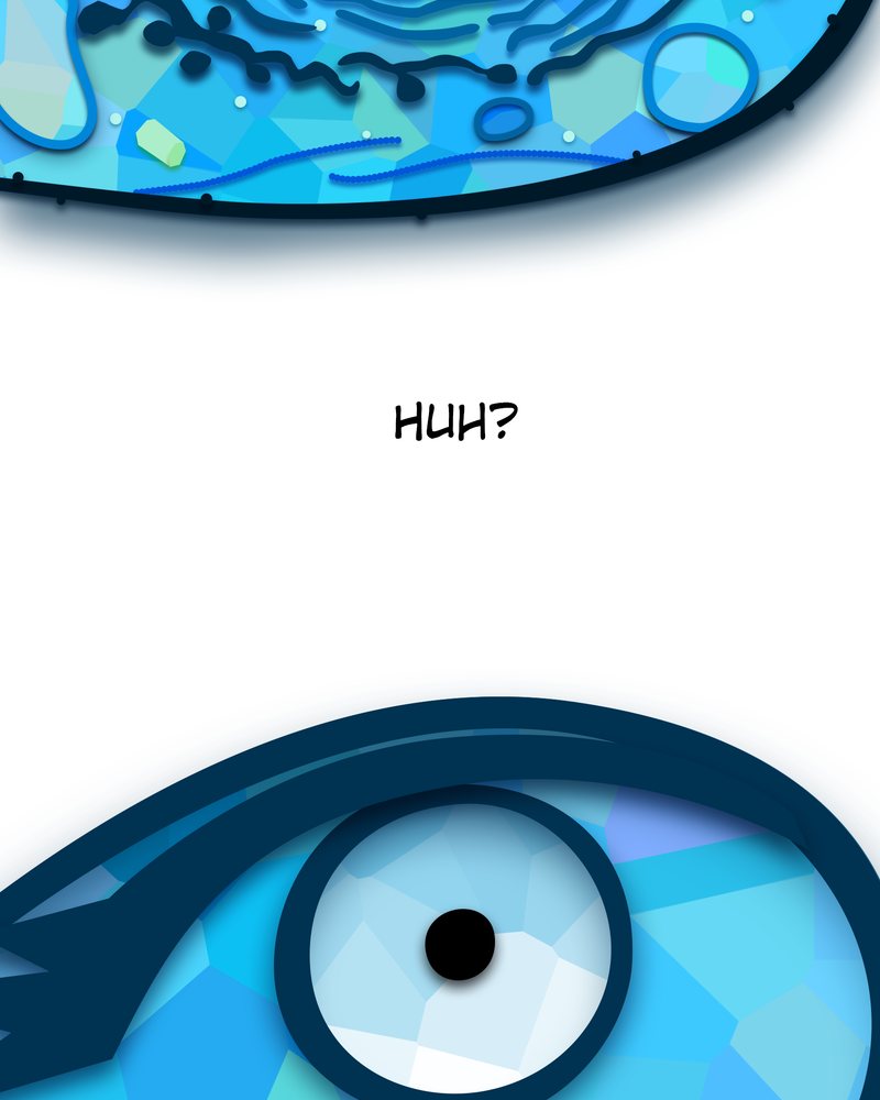 The Powerhouse of the Cell Mitosis (1/3) 第68页