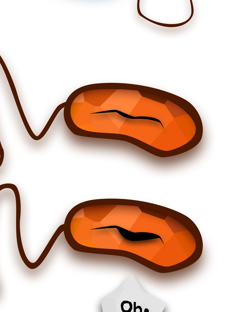 The Powerhouse of the Cell Mitosis (1/3) 第77页