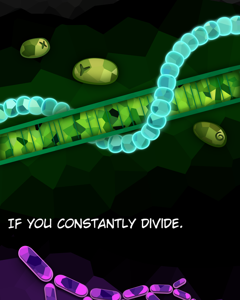 The Powerhouse of the Cell Mitosis (1/3) 第10页