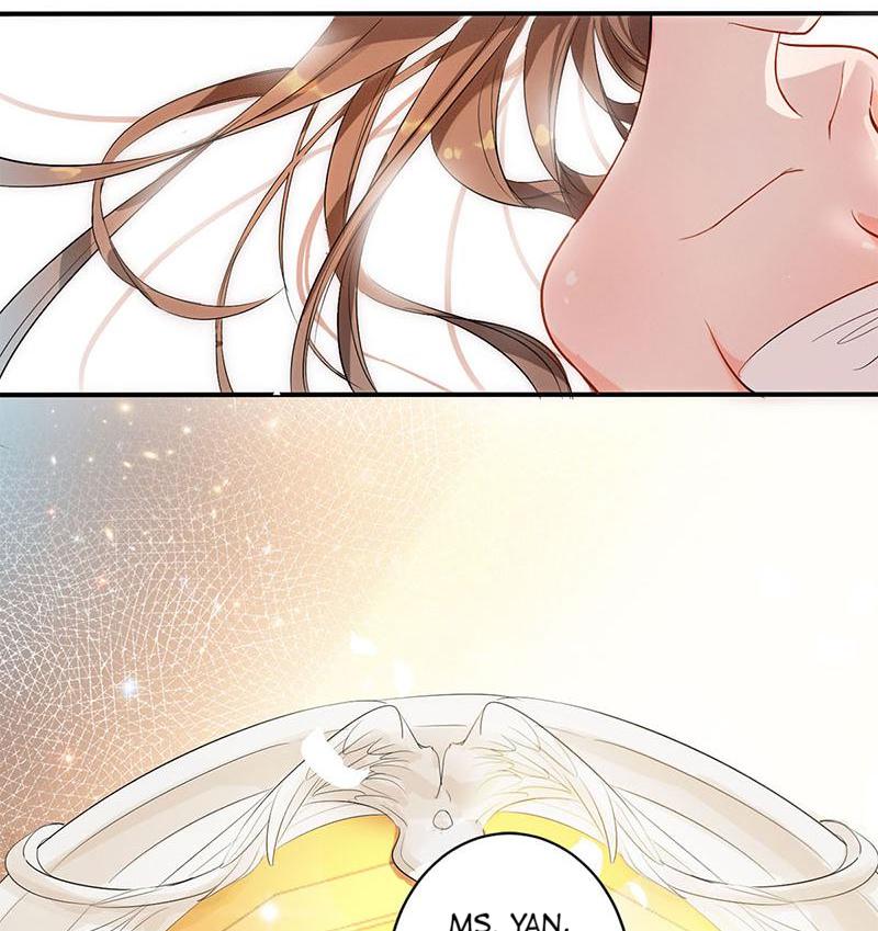 Substitute Bride 第3页