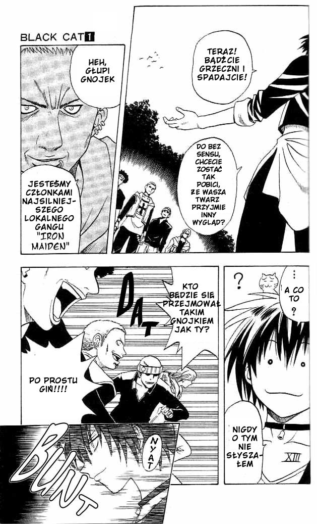 Black Cat Rinslet Walter 第11页