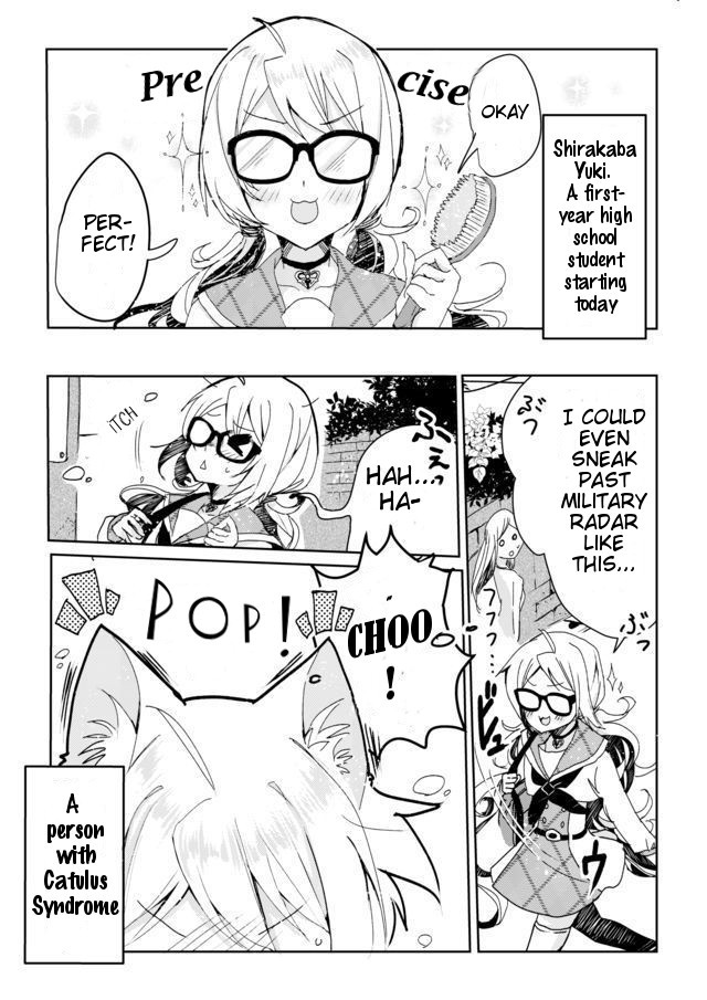 Catulus Syndrome 第3页