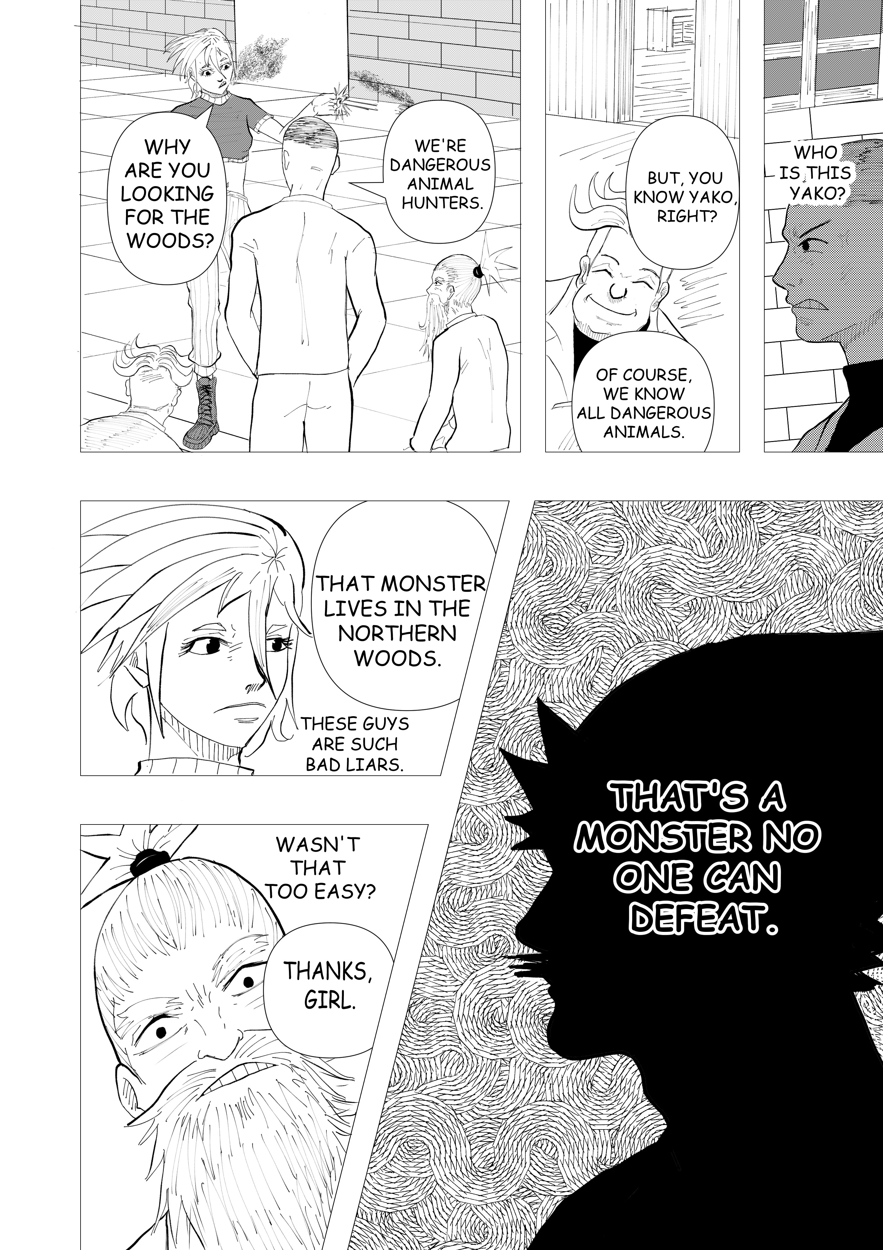 SHADE START 第13页