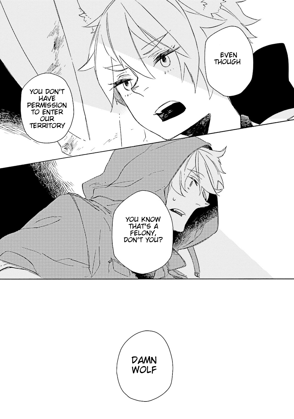 BASCULER #1 第33页