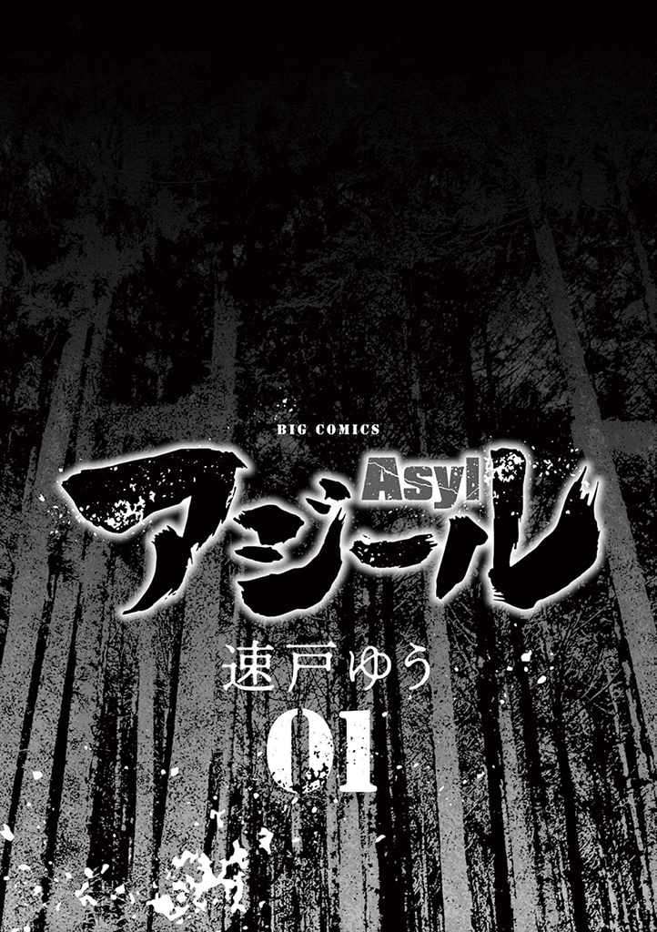 Asyl 第2页