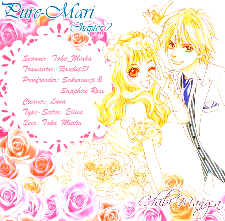 Pure-Mari The Reason of the Proposal 第1页