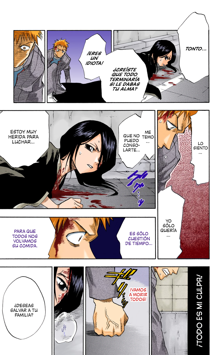 Bleach (Official Colored) La muerte y la fresa 第44页