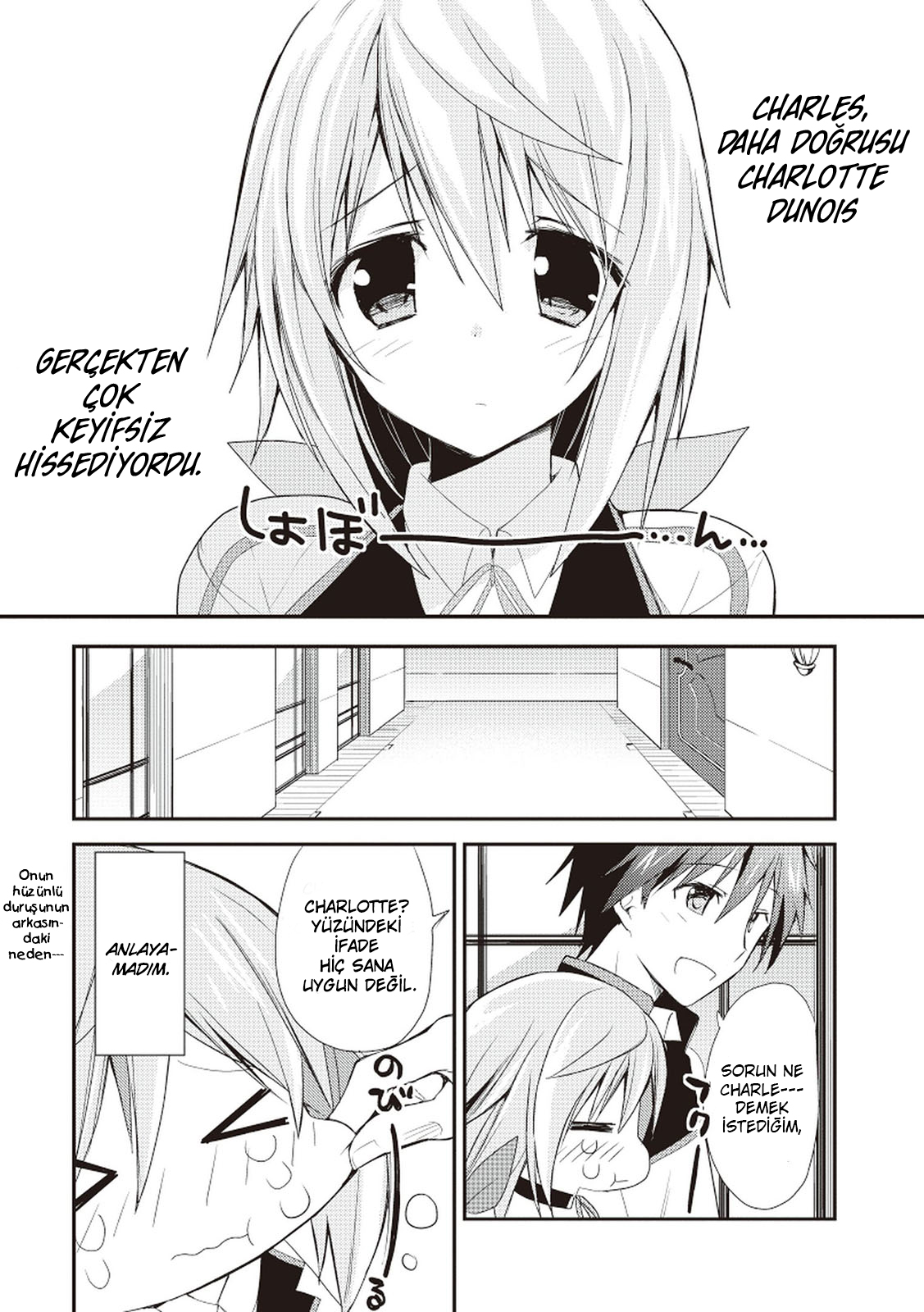 Infinite Stratos - Sugar & Honey İchika, ben... 第2页