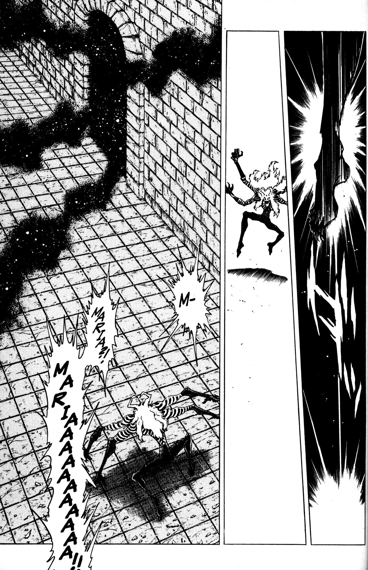 Skull Man (SHIMAMOTO Kazuhiko) Inside Stranger -The Second Part- 第12页