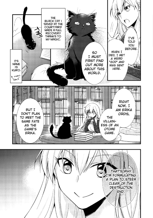 I Became a Villainess Vol. 1 Ch. 1 第17页