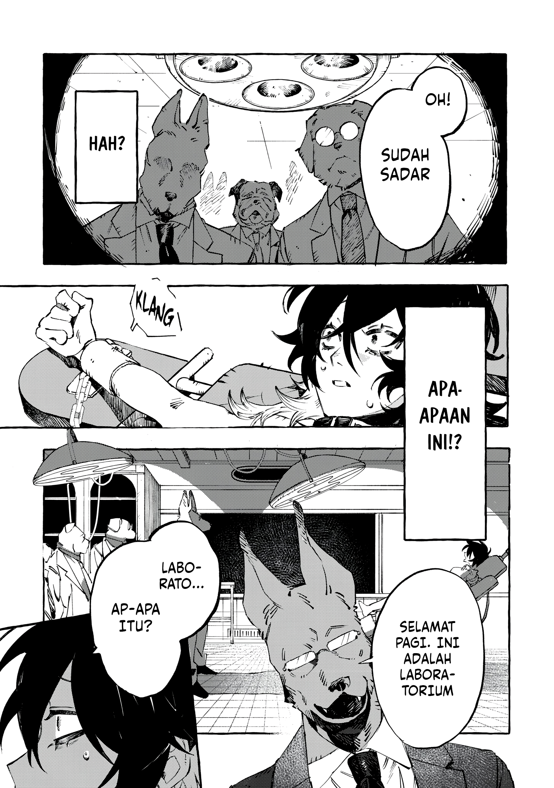 DOG MATIC Anjing 第27页