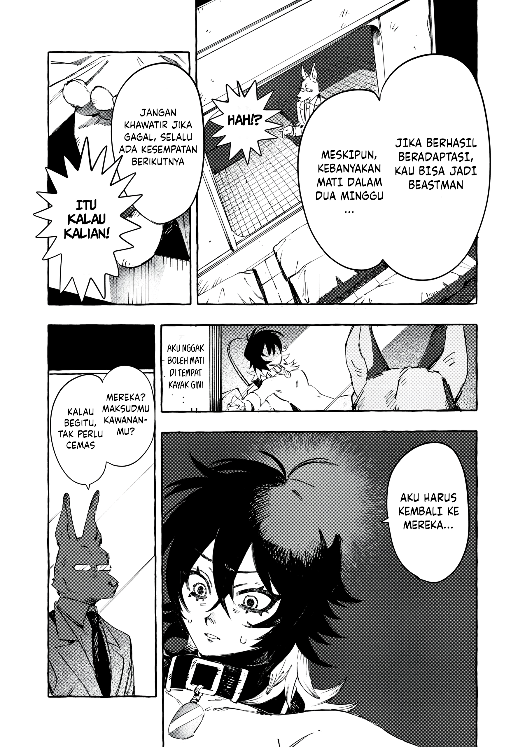 DOG MATIC Anjing 第31页
