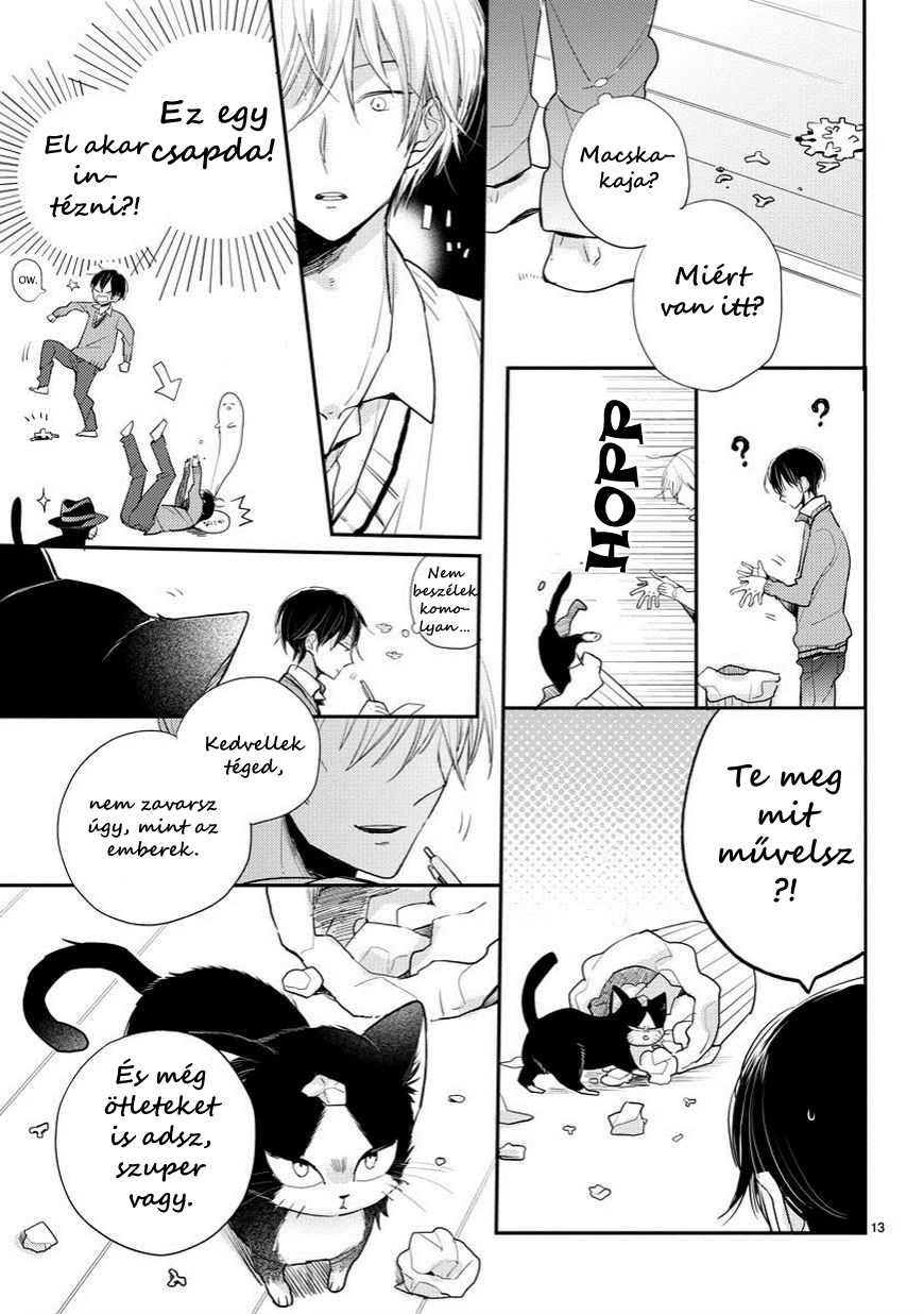 My Roommate Is a Cat Találkozás az ismeretlennel 第13页